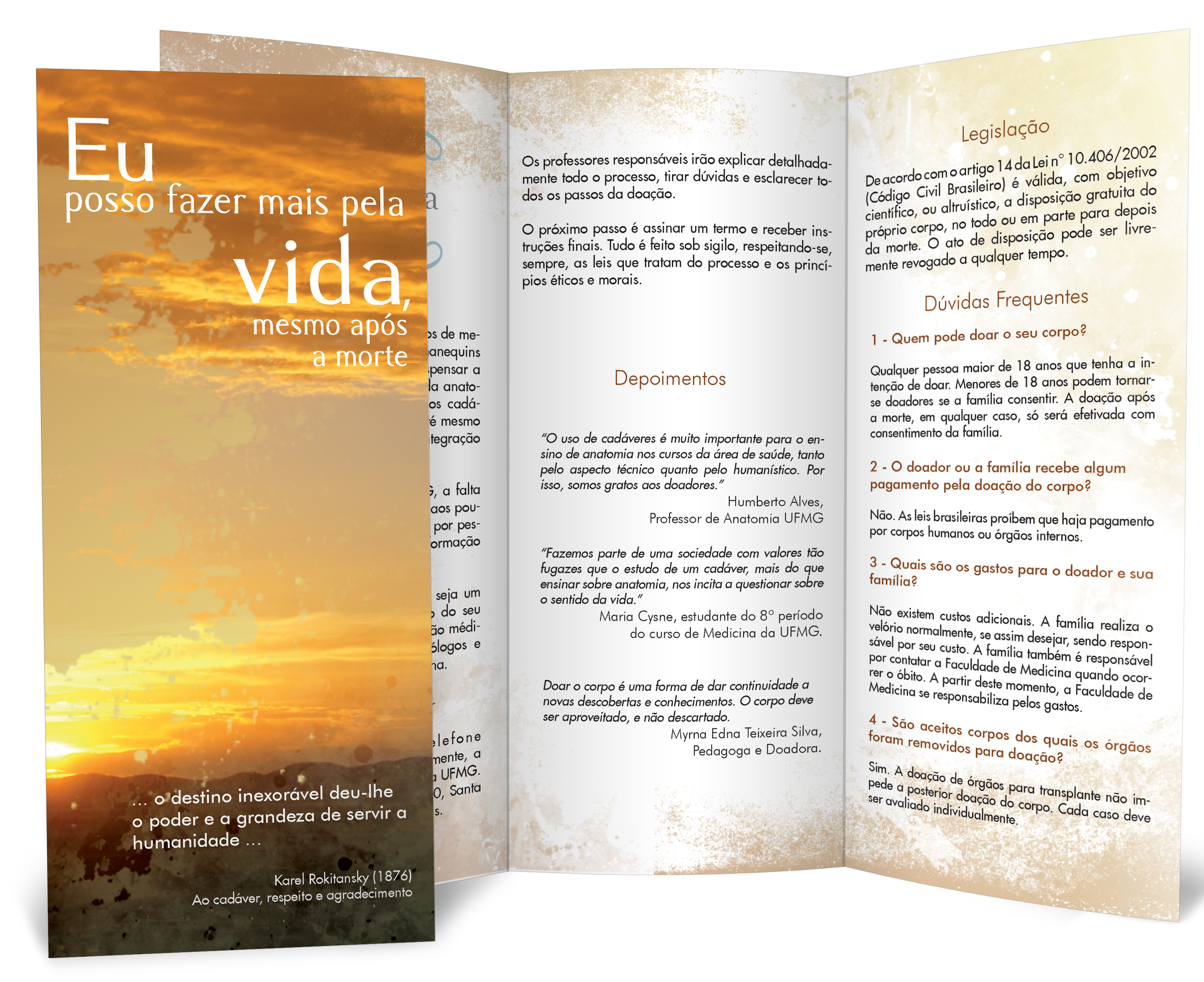 Vida após a Vida