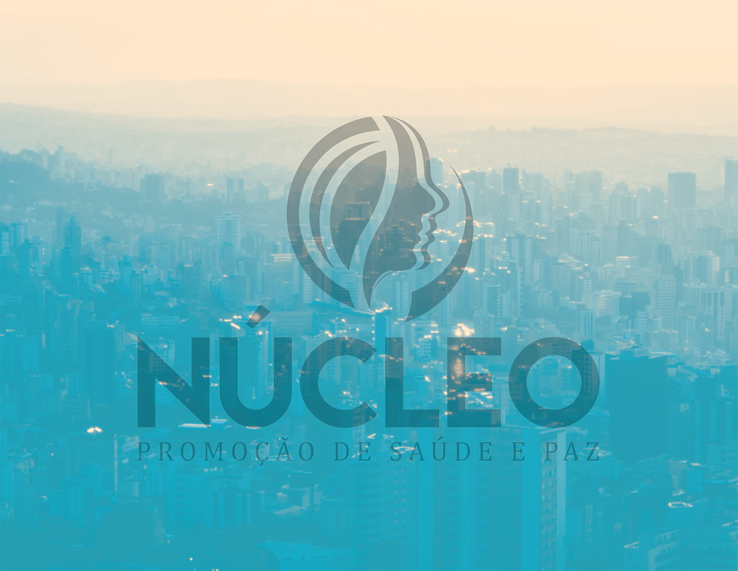 Núcleo Promoção de Saúde e Paz