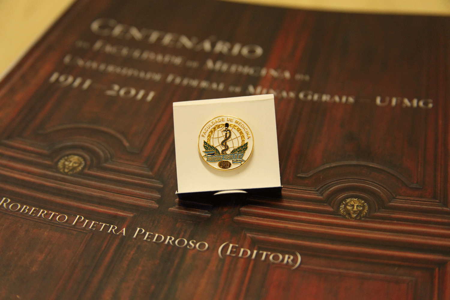 Pin Faculdade de Medicina | 2011 e 2015