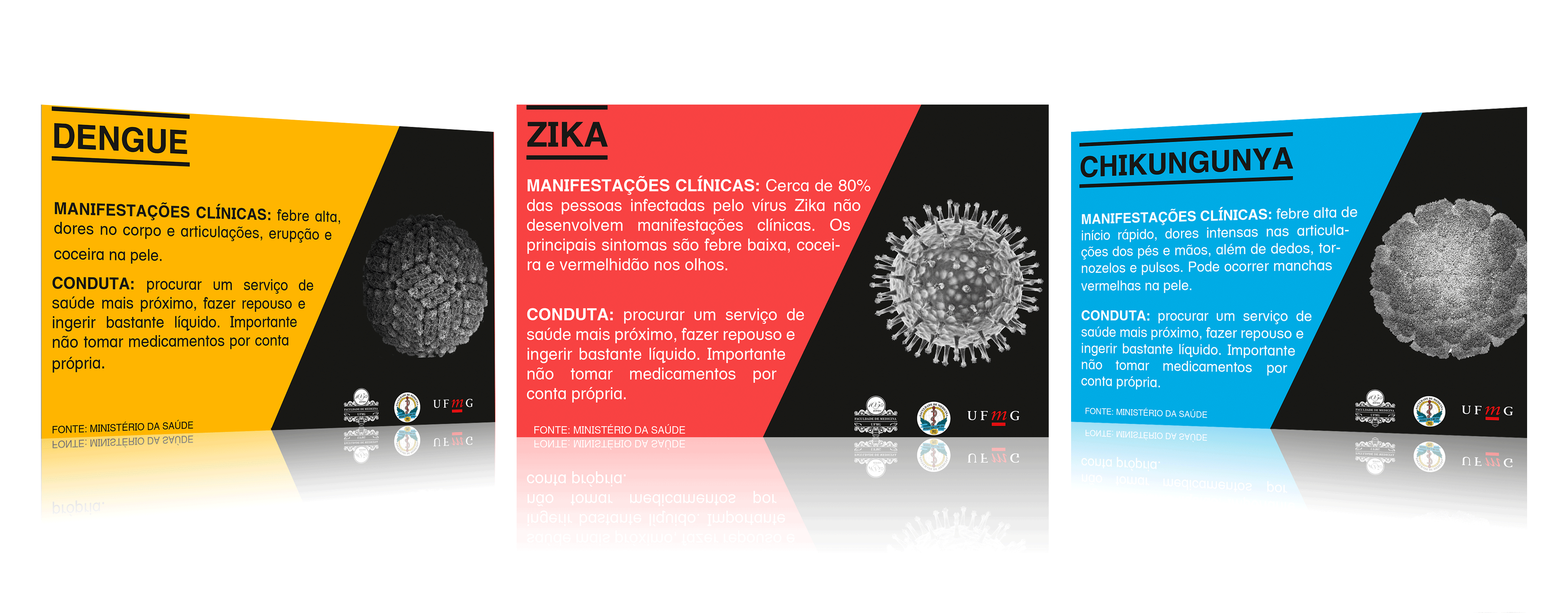 Aedes e as epidemias atuais