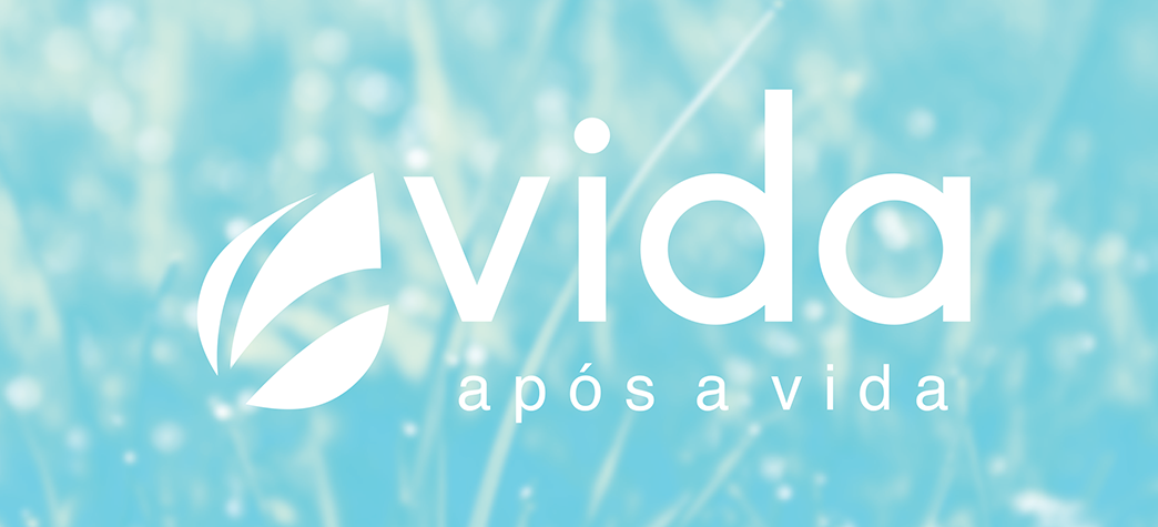 Vida após a vida